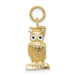 14k Yellow Gold Graduation Owl Charm