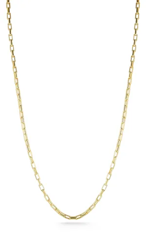 Long Link Box Chain Necklace